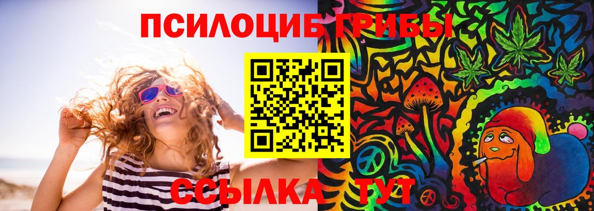 Псилоцибиновые грибы Psilocybe Ленинск-Кузнецкий