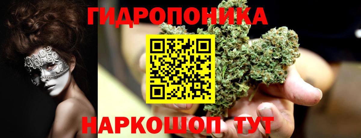 ГАШИШ Ленинск-Кузнецкий